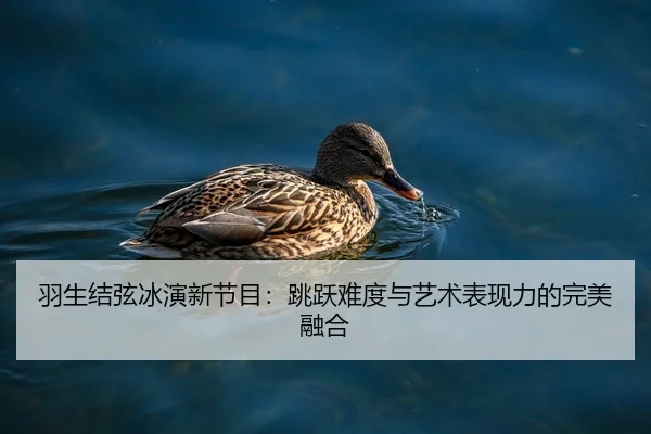 羽生结弦冰演新节目：跳跃难度与艺术表现力的完美融合
