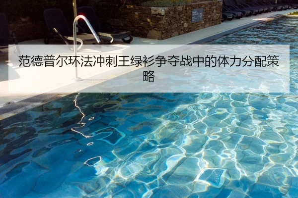 fan-de-pu-er-huan-fa-chong-ci-wang-lv-shan-zheng-duo-zhan-zhong-de-ti-li-fen-pei-ce-lve-2-757.jpg