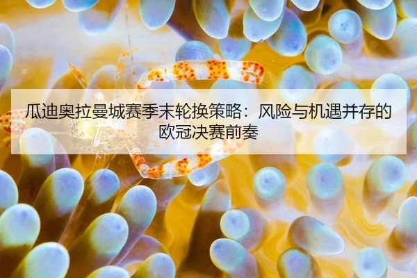 gua-di-ao-la-man-cheng-sai-ji-mo-lun-huan-ce-lve-feng-xian-yu-ji-yu-bing-cun-de-ou-guan-jue-sai-qian-zou-2-750.jpg